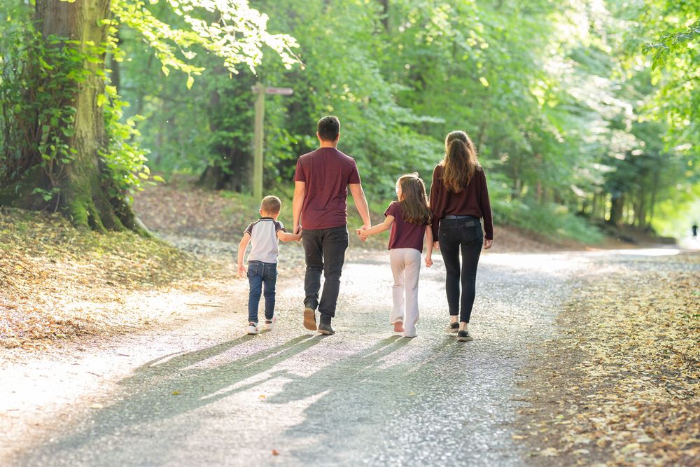 People walking together on a scenic forest trail covered in autumn leaves and dappled sunlight.
