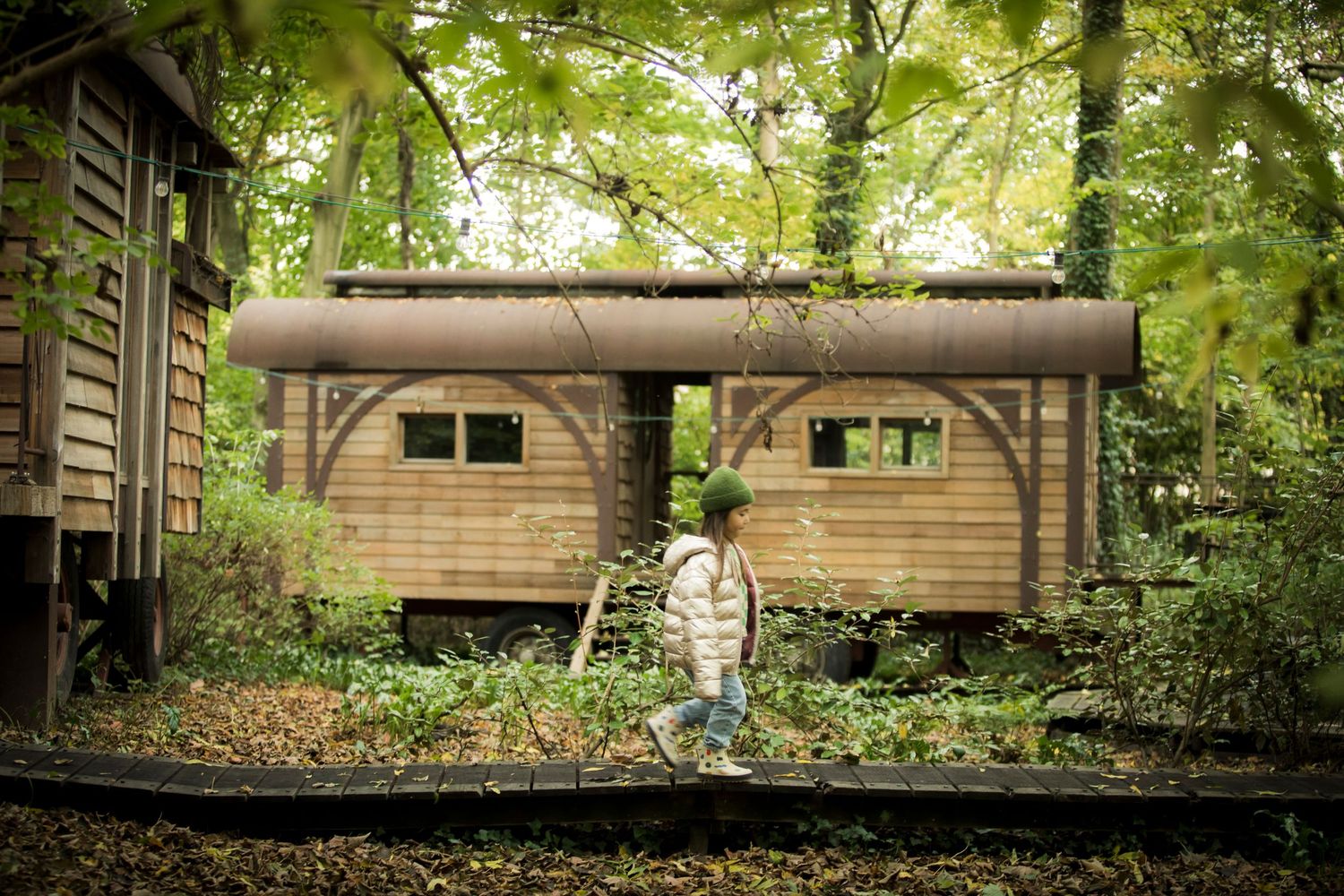 An old wooden train car sits abandoned in a lush green forest setting.