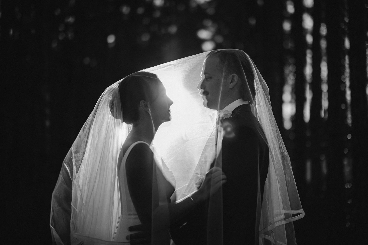 Dramatic black and white wedding portraits capturing intimate moments in silhouette.