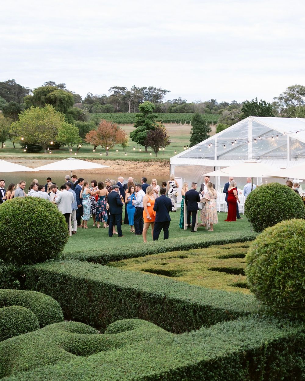 Wedding guests gather around a white tent near manicured garden hedges and topiary on a sunny day.