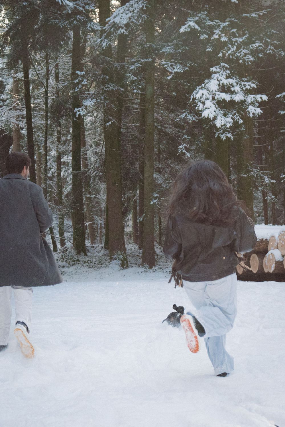 Winter scene of people playing in fresh snow among evergreen trees.