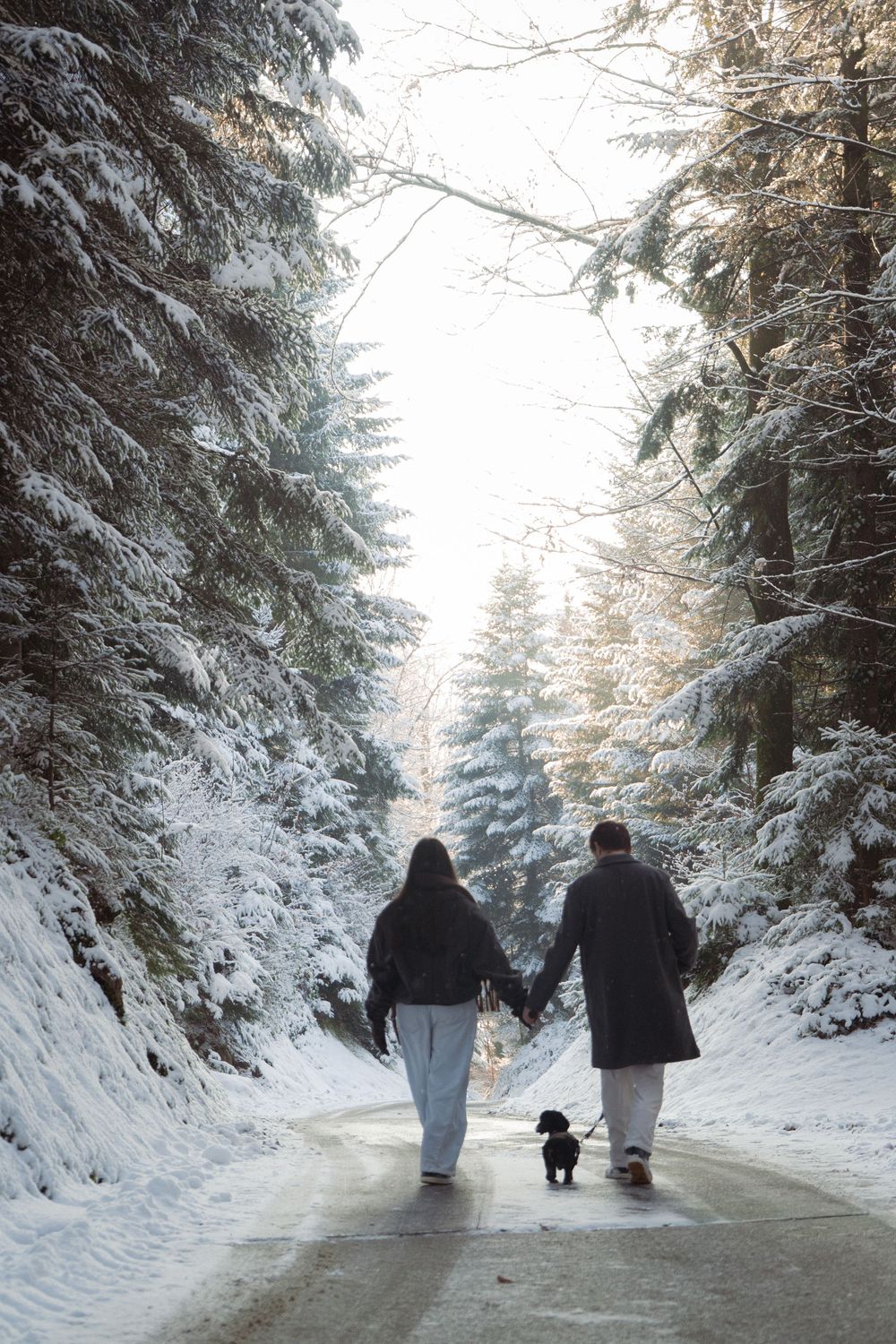 Couple walking their black dog down a snowy forest road at sunset.