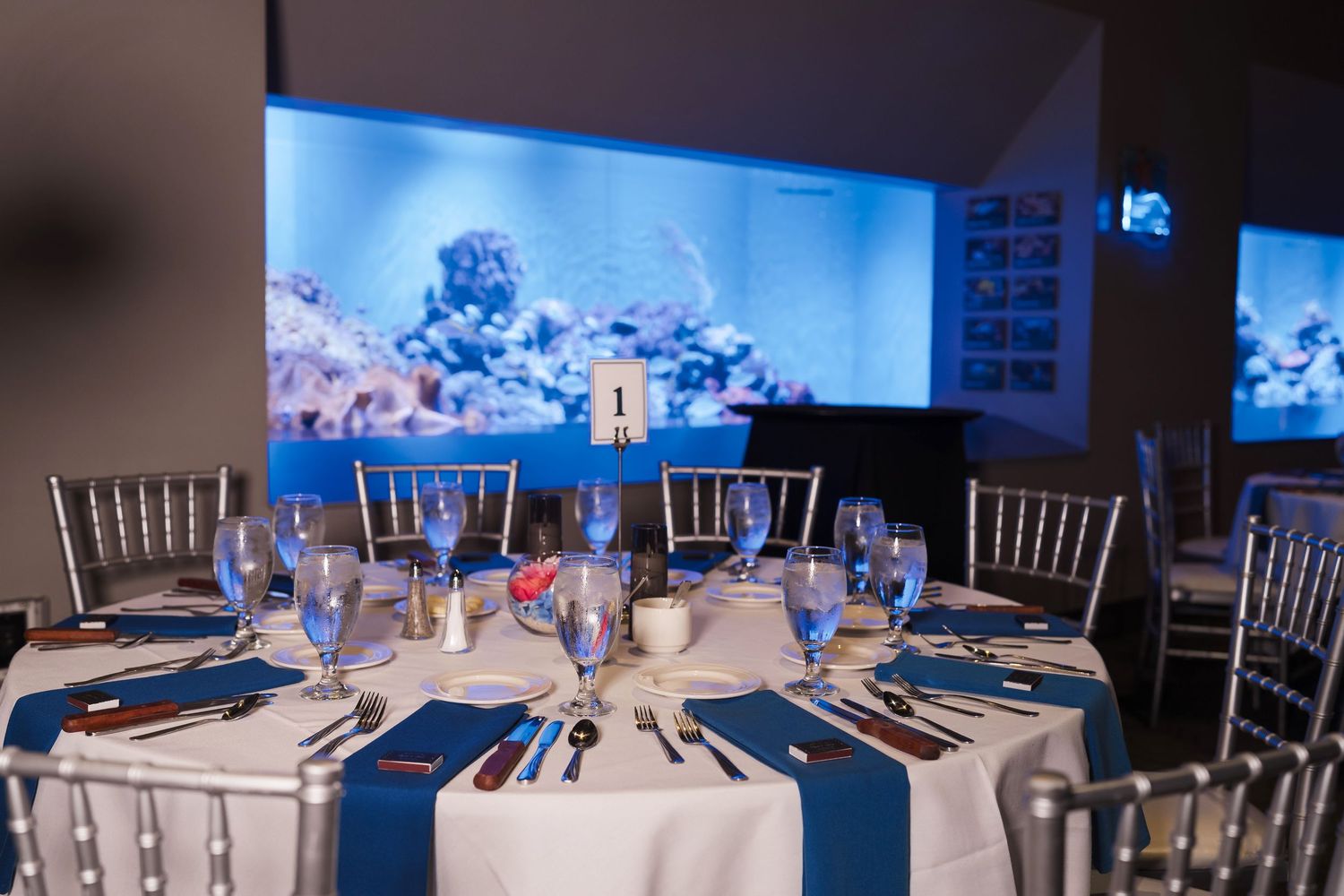 Toledo Zoo & Aquarium Wedding reception tables set with blue and white decor against illuminated aquarium backdrop.