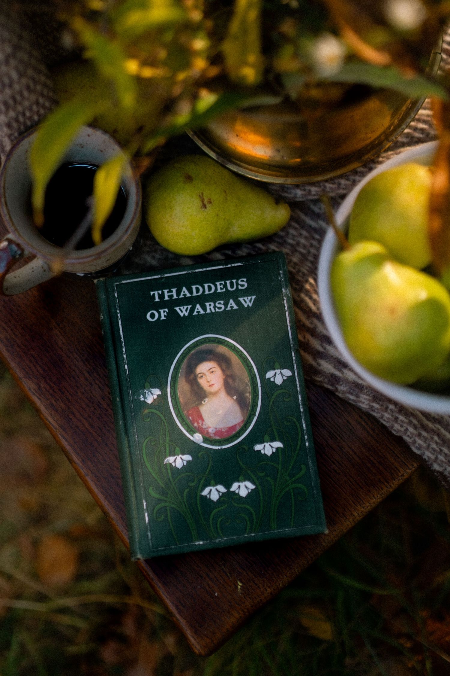 Vintage green book titled 'Thaddeus of Warsaw' with decorative cover in autumn setting.