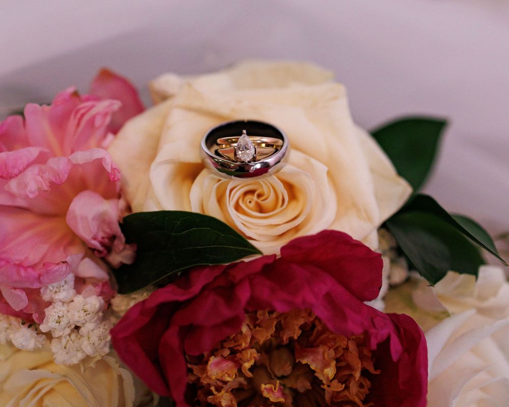 Wedding ring with diamonds rests on cream and pink roses with dark green leaves in a romantic floral arrangement.