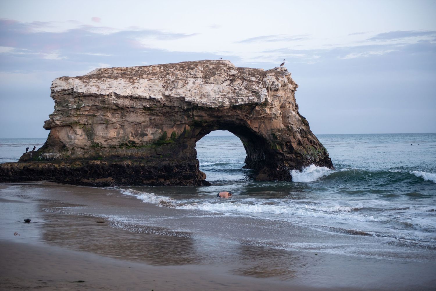 Family enjoying sunset at Natural Bridges State Beach in Santa Cruz with rock formations and waves in background.