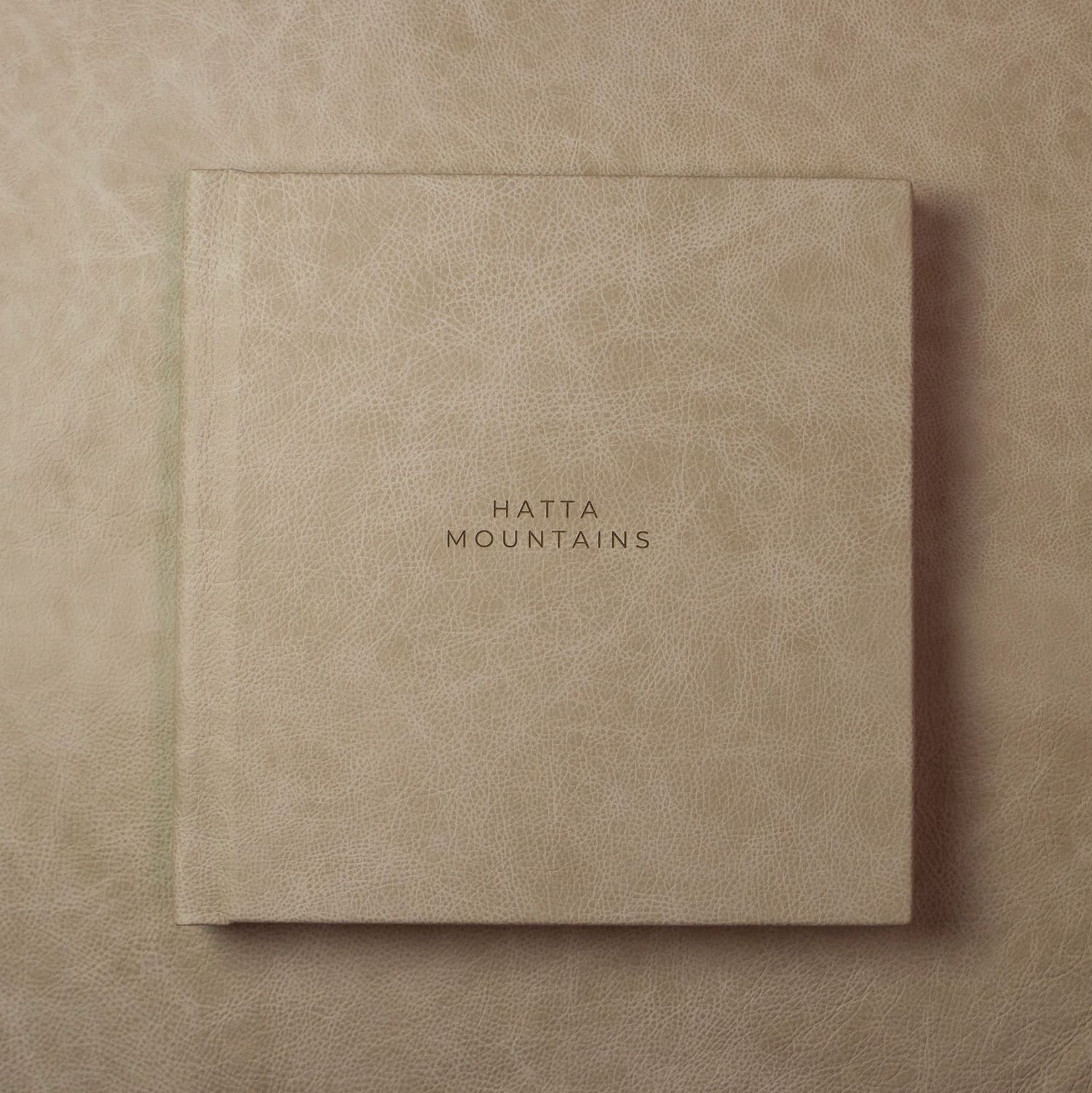 A minimalist beige book cover with the text 'IN THE MOUNTAINS' centered on a textured background.