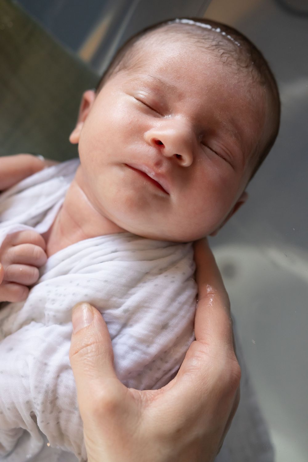 Naissance, drôme, vaucluse, valence, rhône-alpes, photographe, famille, bébé, grossesse, nouveau-né, bain enveloppé, bain de lait, famille