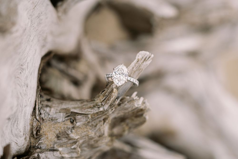 A delicate diamond engagement ring rests on a piece of weathered driftwood in soft, muted lighting.