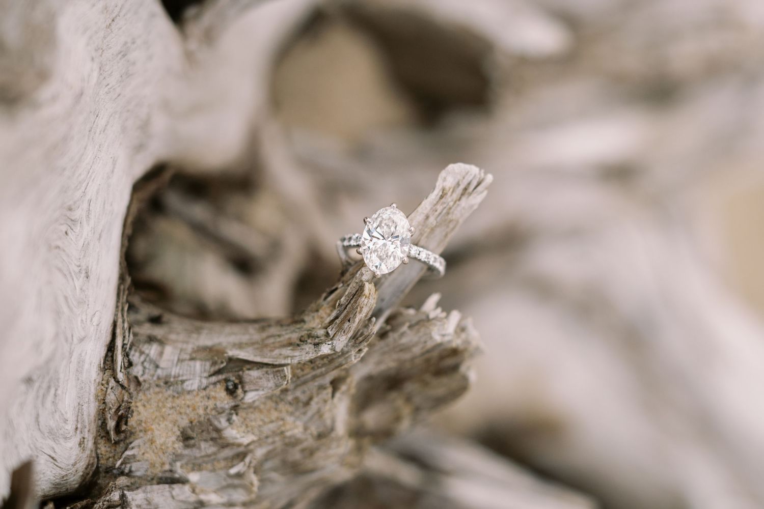 A delicate diamond engagement ring rests on a piece of weathered driftwood in soft, muted lighting.