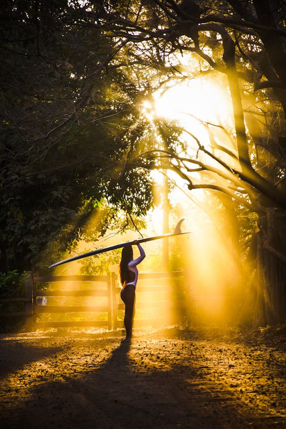 Silhouetted figure carrying a surfboard in golden sunlight filtering through trees creates a magical forest scene.