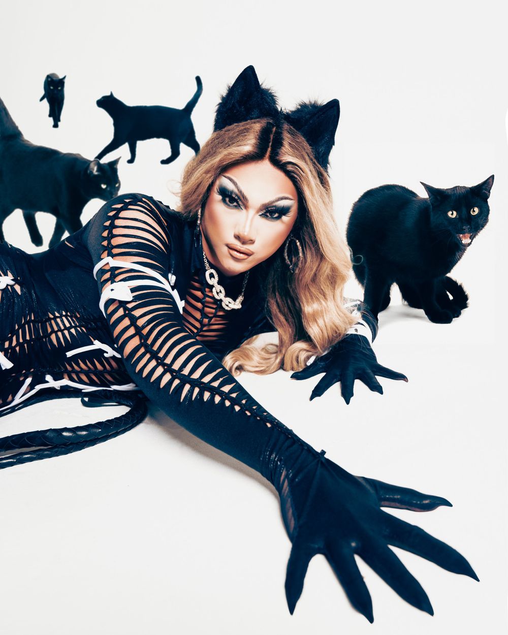 Edgy fashion photo with black cats, striped sleeves and cat ear accessories on white background.