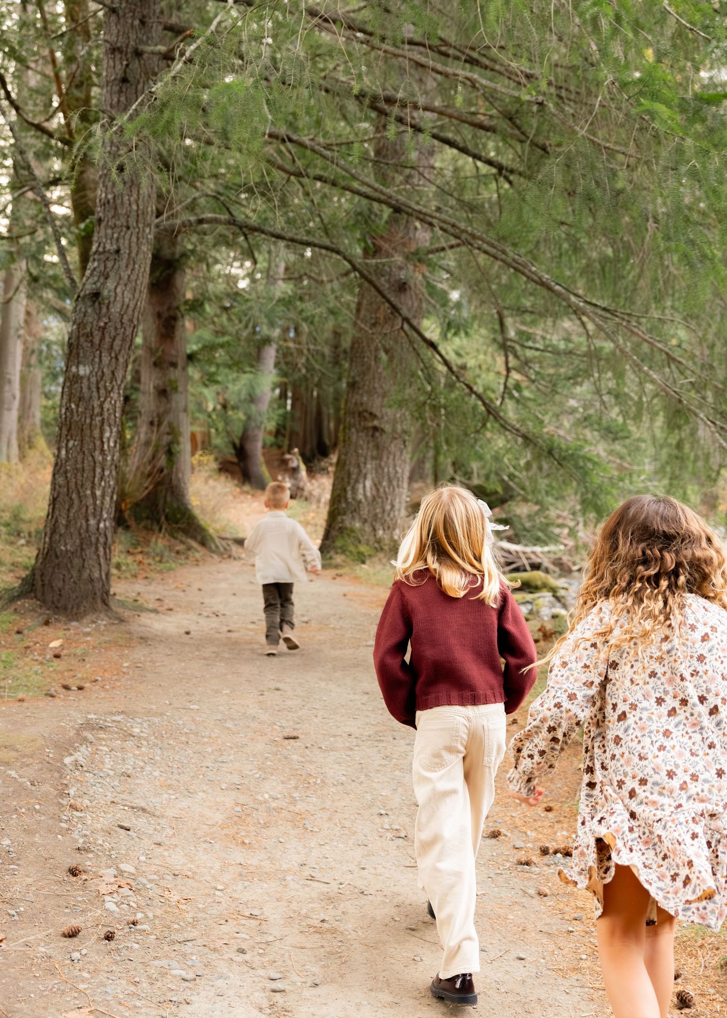 Two people walking along a scenic dirt path through a pine forest on a sunny day.