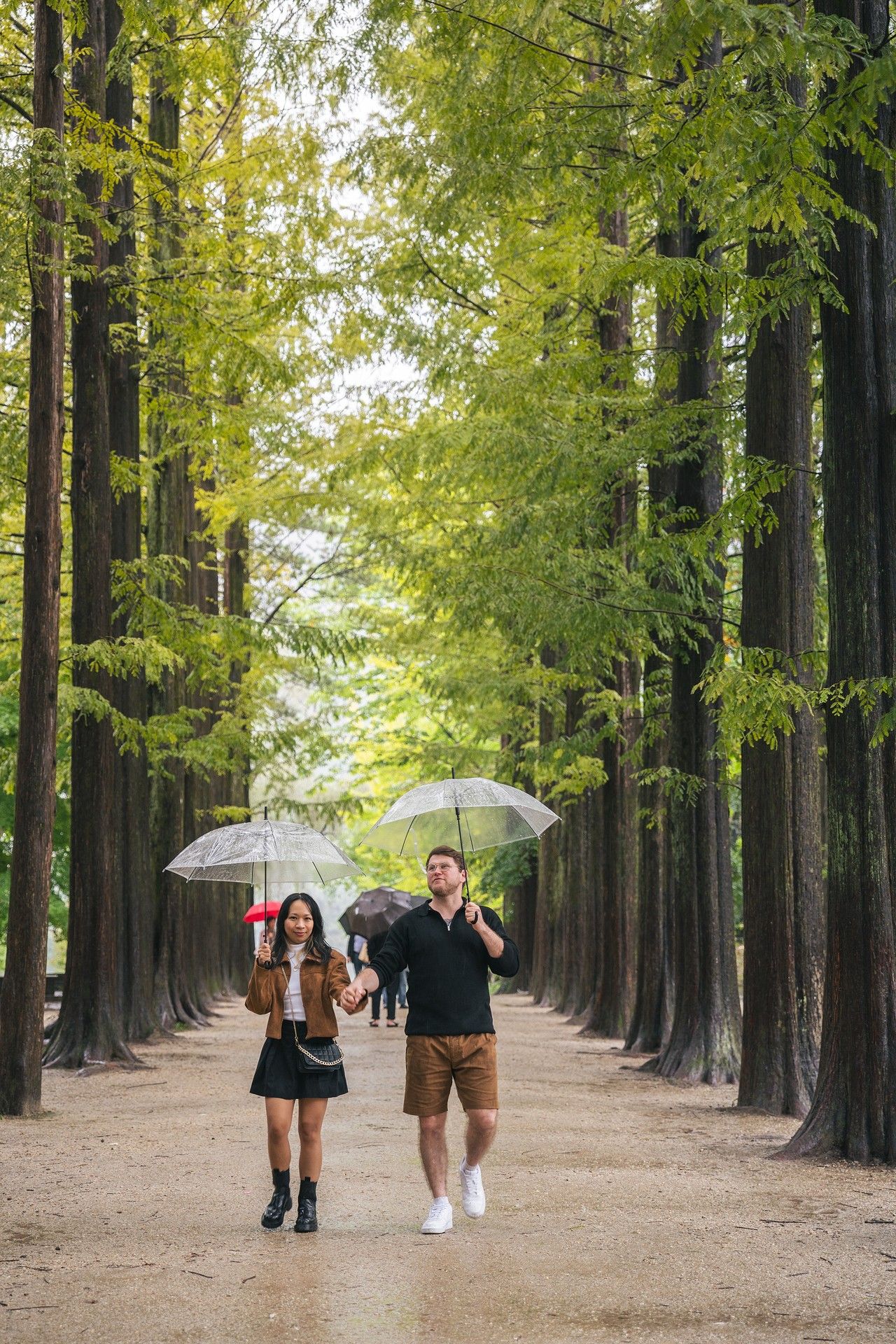 People walking with umbrellas along a scenic tree-lined path with tall metasequoia trees in autumn.