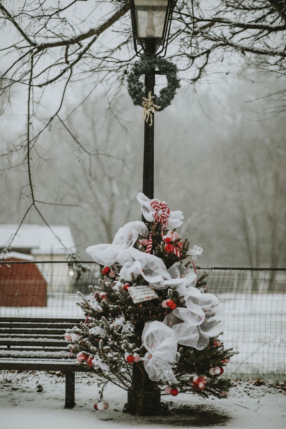 Saltsburg PA Photographer Christmas Trees along the canal, Indiana County Small town family portraits Christmas photo session winter snow