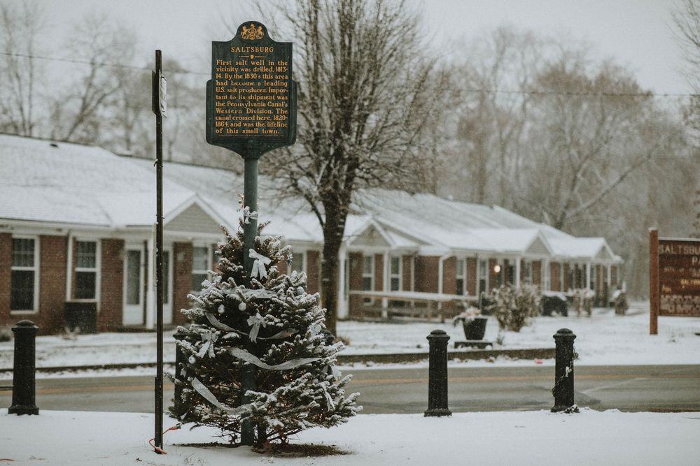 Saltsburg PA Photographer Christmas Trees along the canal, Indiana County Small town family portraits Christmas photo session winter snow