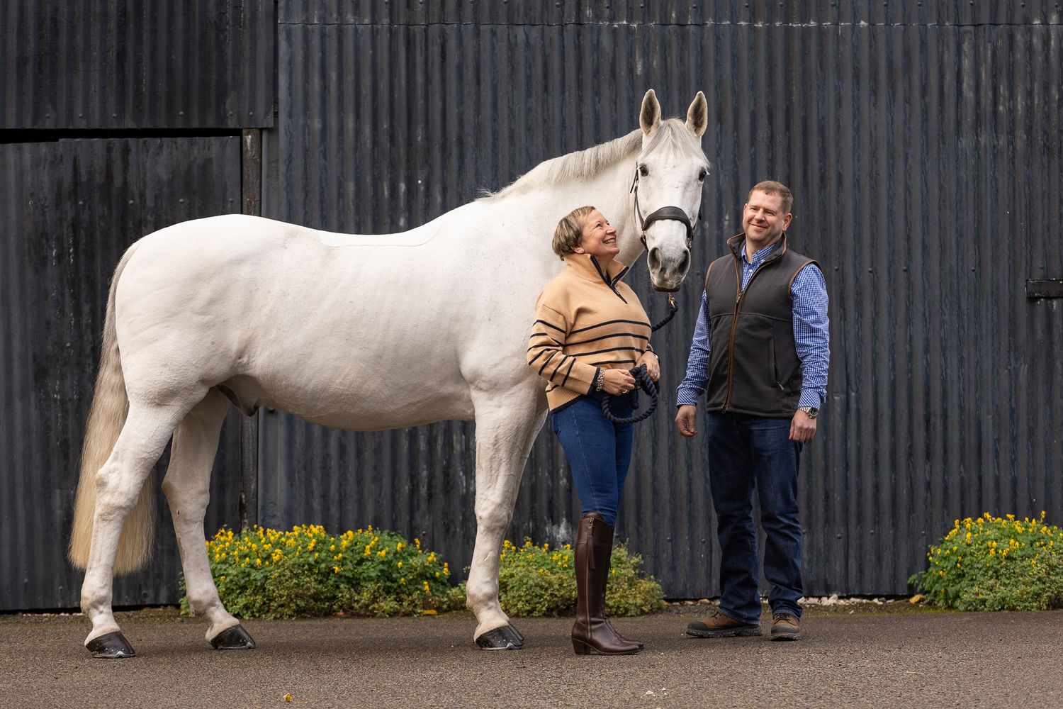 A beautiful black and white paint horse stands with a person on a sunny autumn day outdoors.