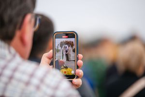 Guest captures wedding ceremony moments on smartphone camera.