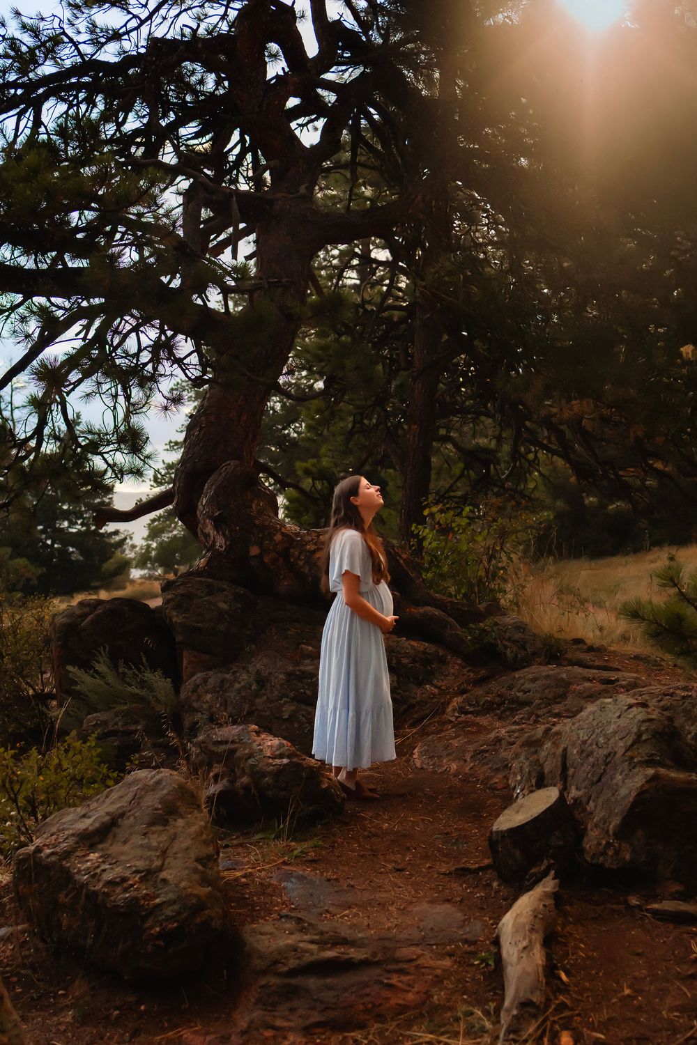 Pregnant woman stands underneath a large tree, looking up towards sun filtering through the trees