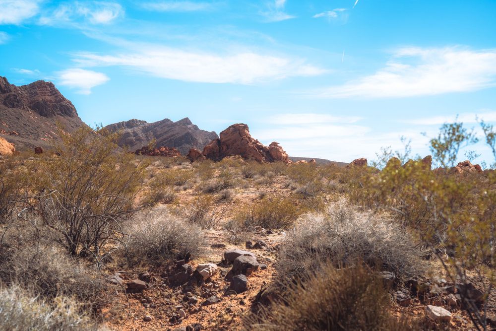 Desert scrubland with scattered brush and mountains beneath wispy clouds.