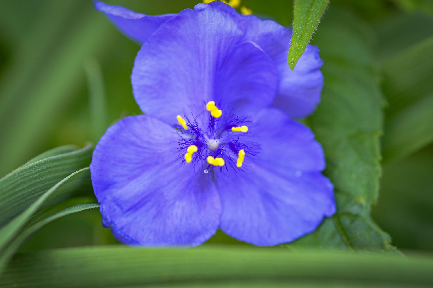 nature photography
