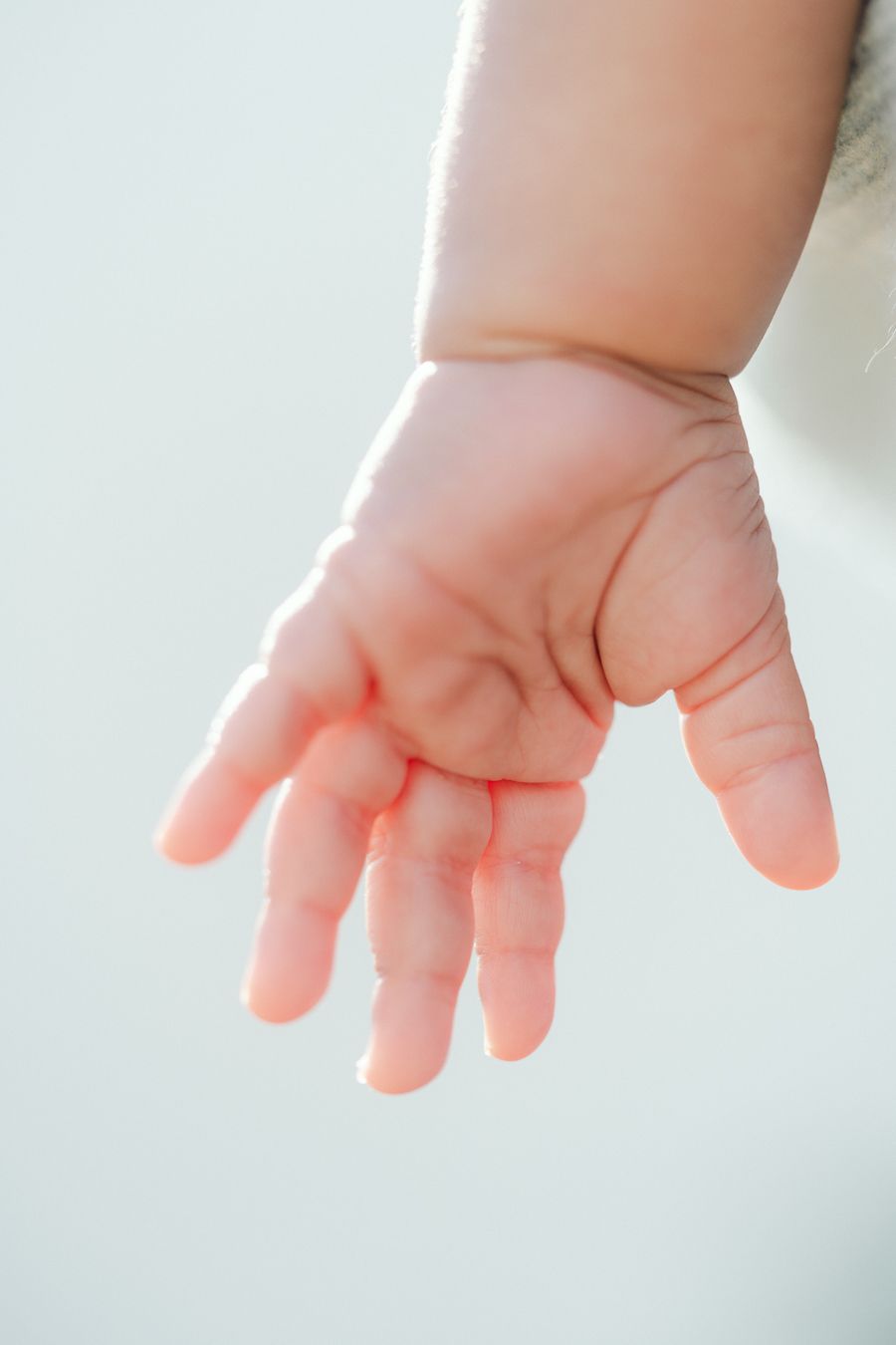 Close-up sequence of tiny baby hands against a white background showing different angles and gestures.