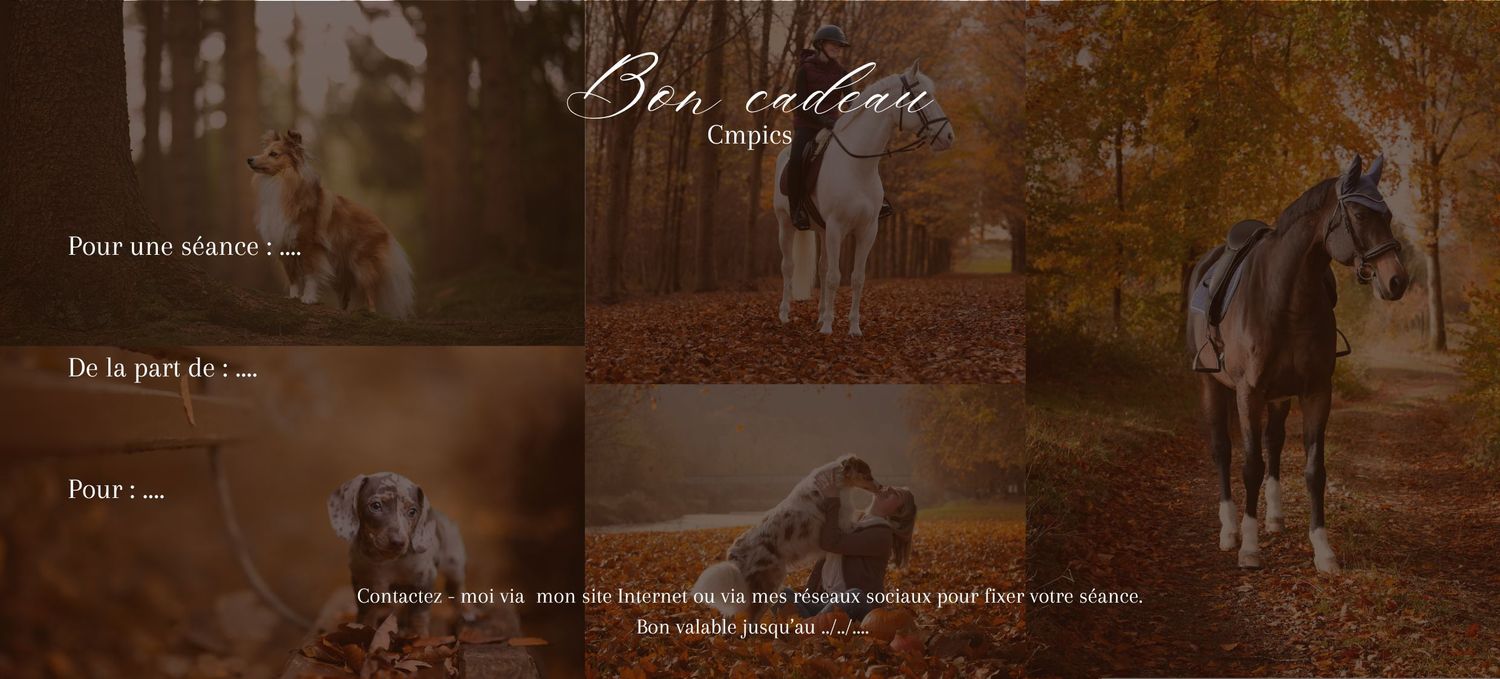 Dark cinematic banner with text overlays and moody lighting.
