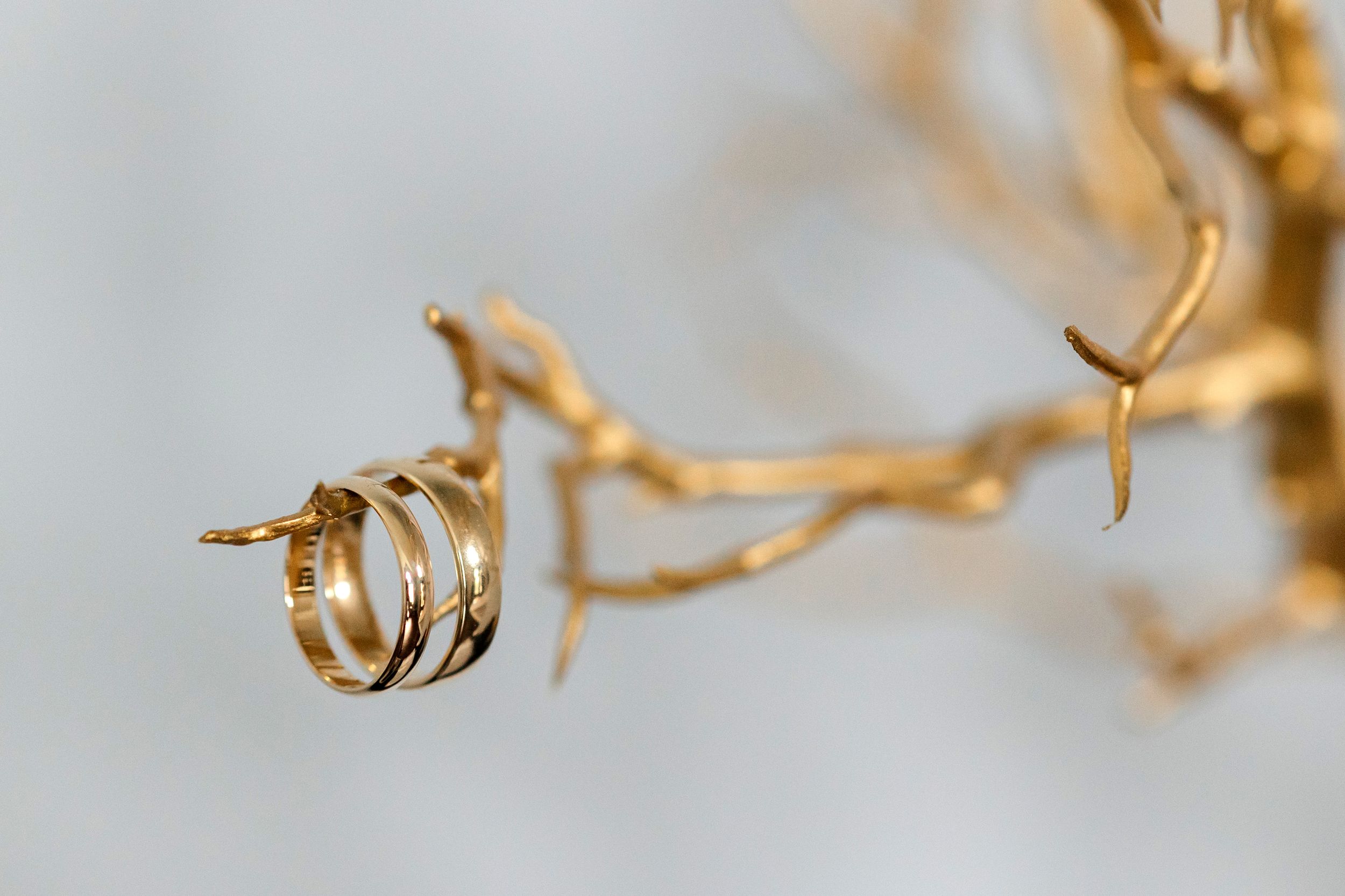 Creative image of wedding rings captured by Tom Forrest Photography from Hudson, Ohio.
