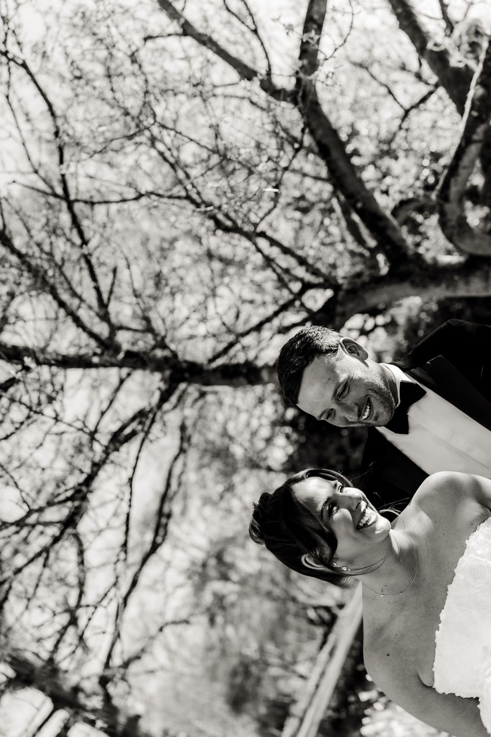 Artistic black and white photos showing romantic moments under blooming cherry blossom trees.