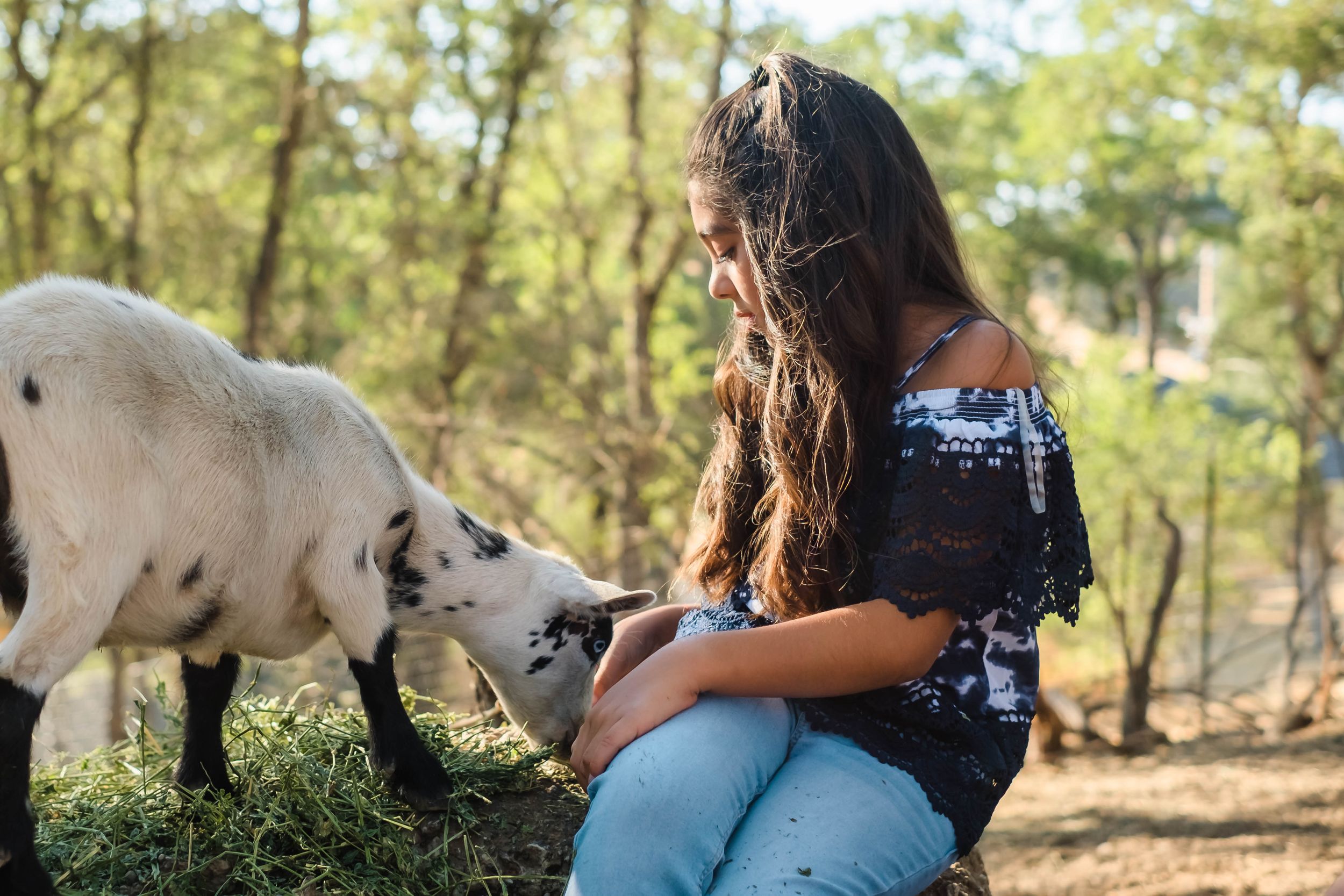 A series of photos showing a family with their animals in valley springs ca. Taken during their family photo session