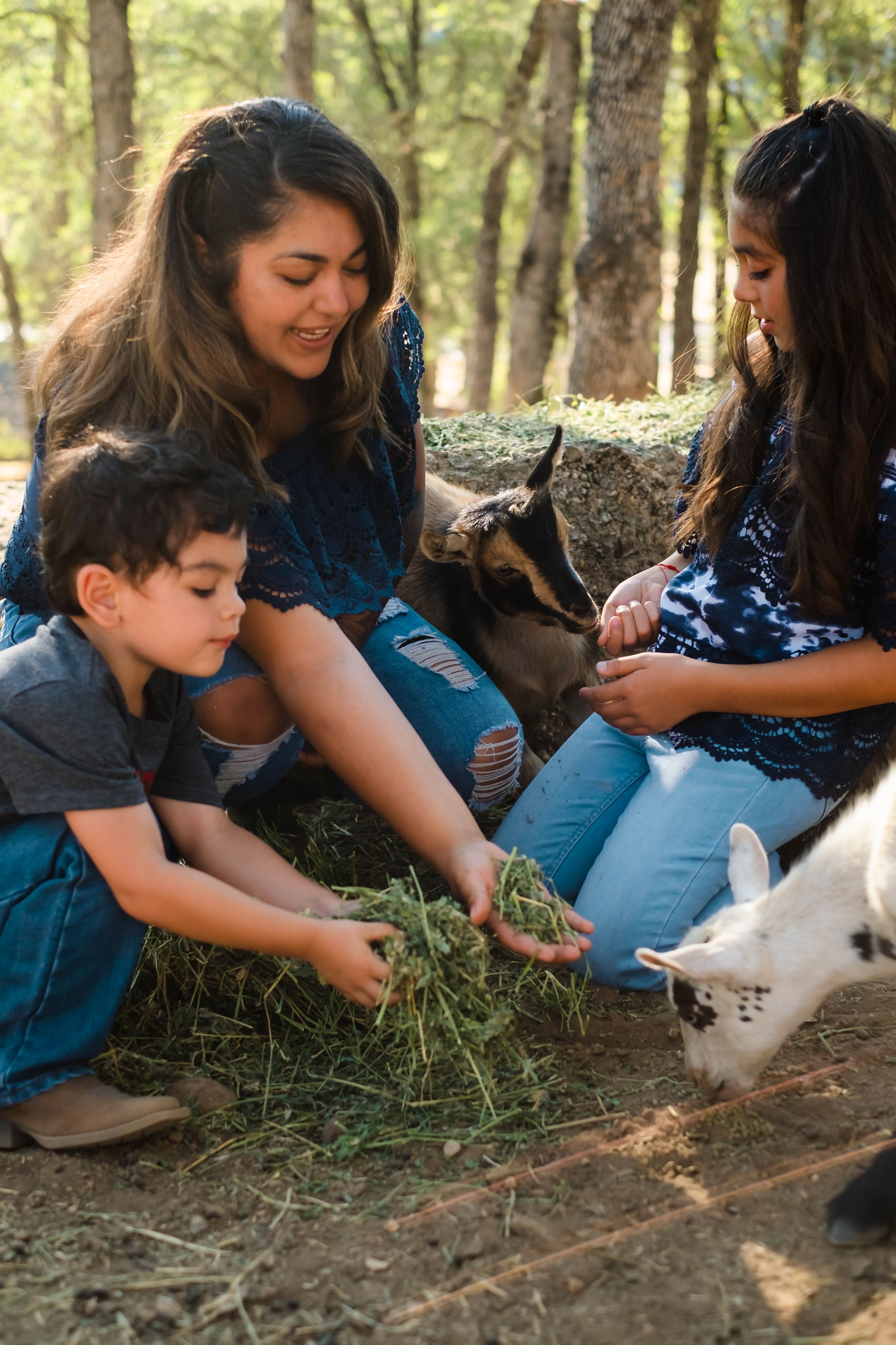 People sitting on grass reach out to pet a small white goat in a wooded outdoor setting. adventure family photo session in calaveras county