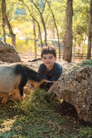 Sue and carlos youngest feeds the goats in the backyard during their family photo session