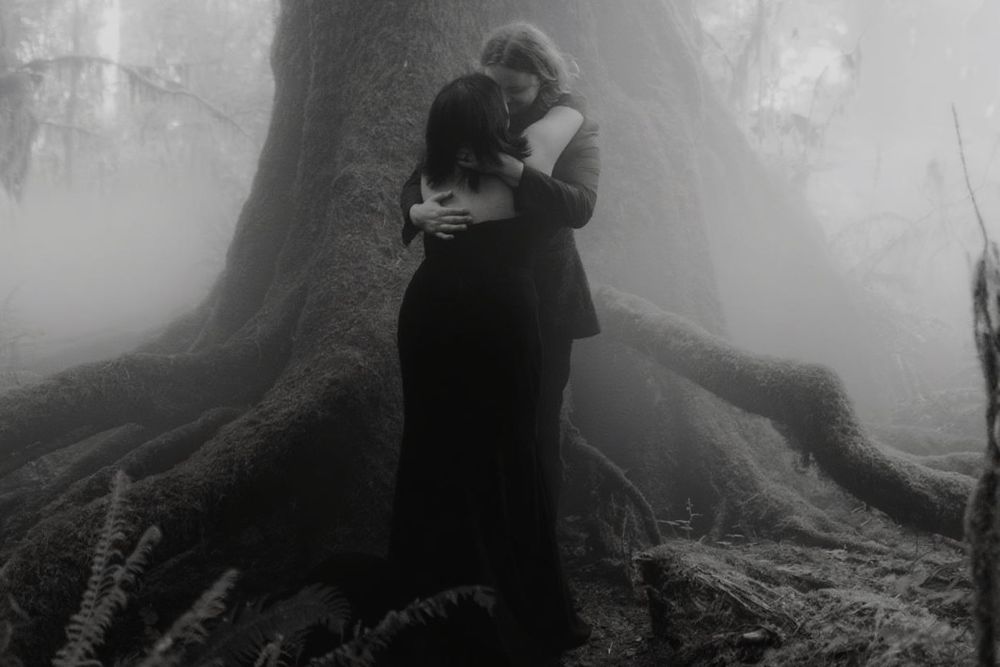 Dark figures embrace among towering trees in a foggy forest setting.
