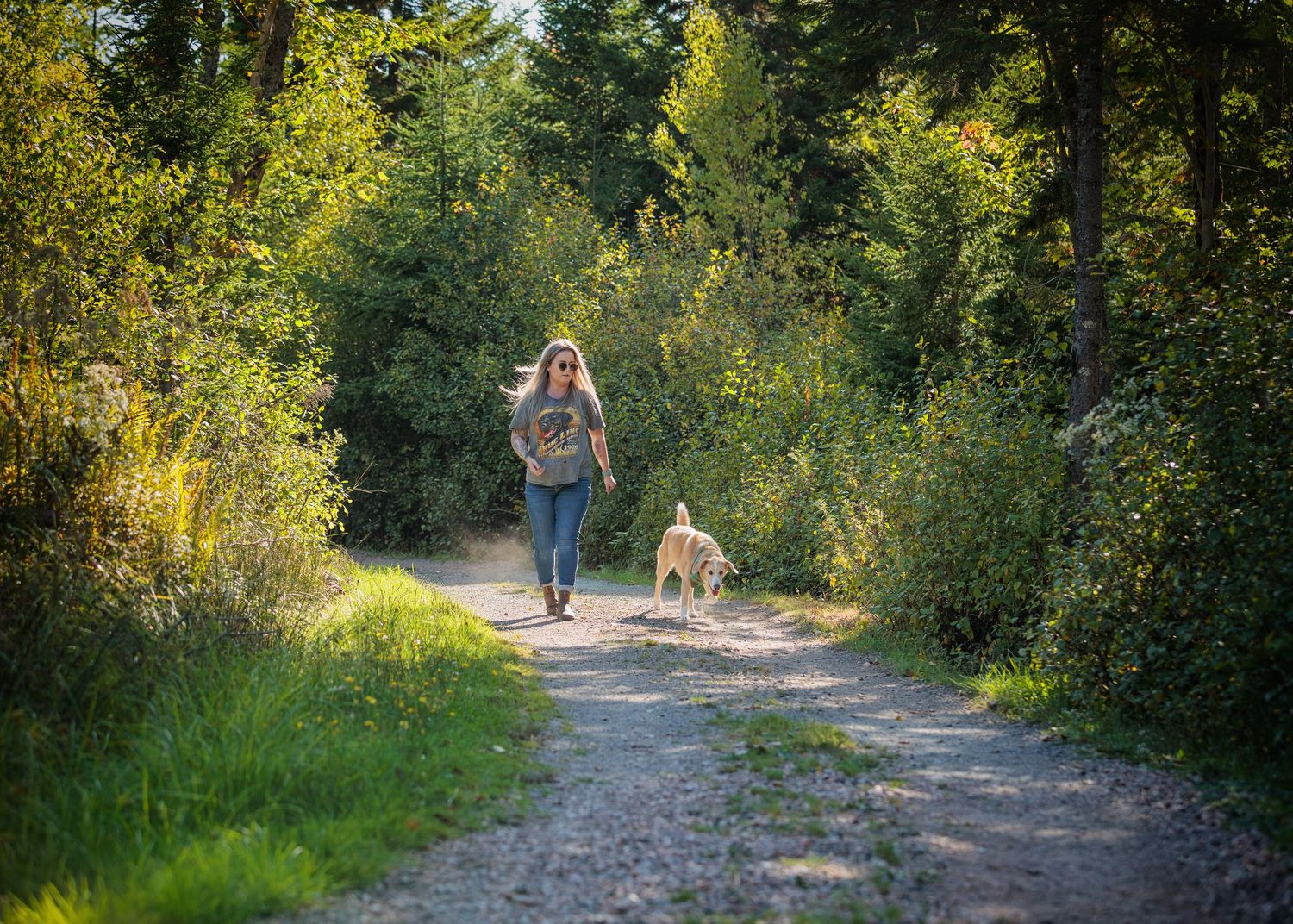 A tree-lined dirt path in a park shows people walking at different distances in golden afternoon sunlight.