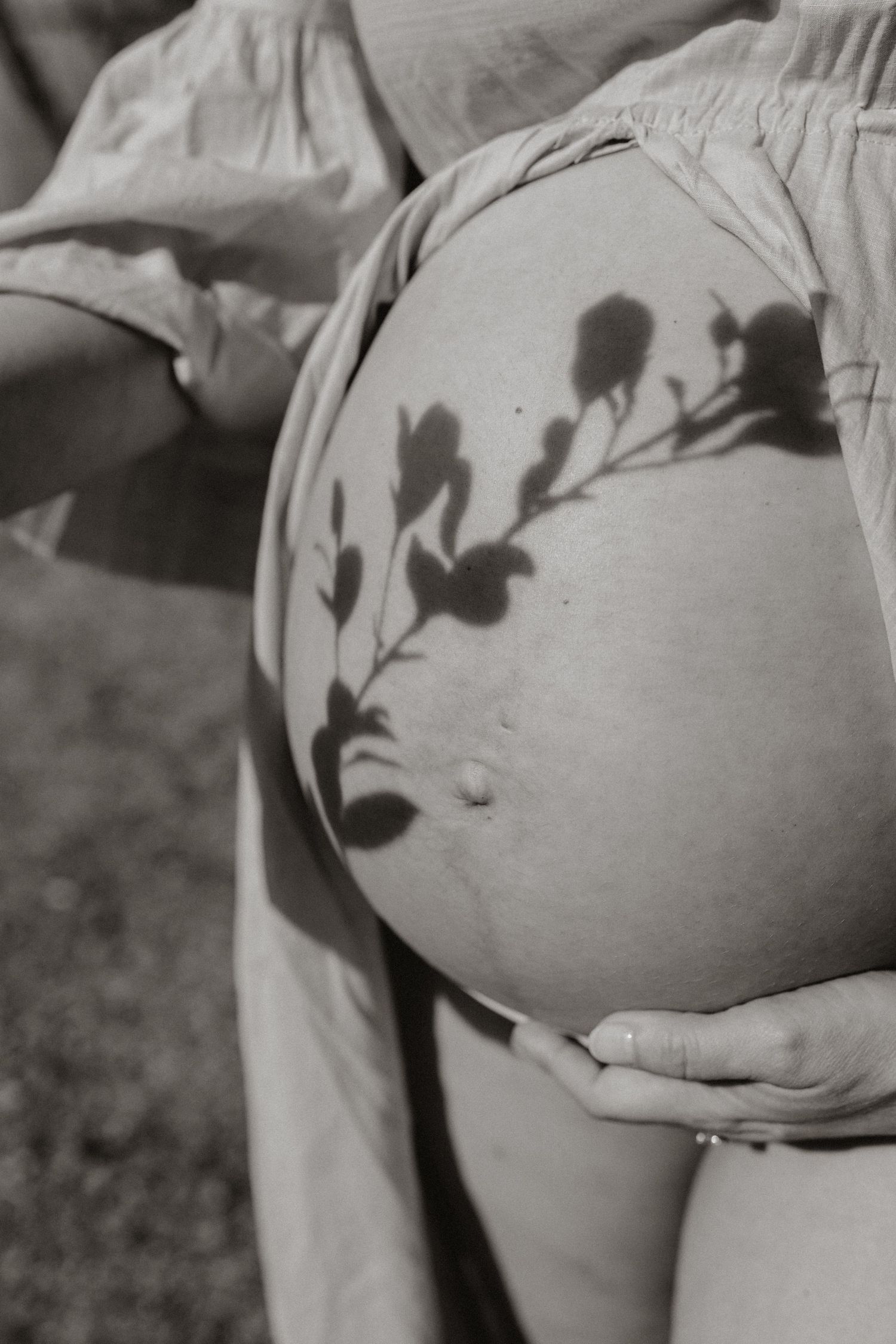 Black and white maternity photo showing shadows of leaves on pregnant belly.