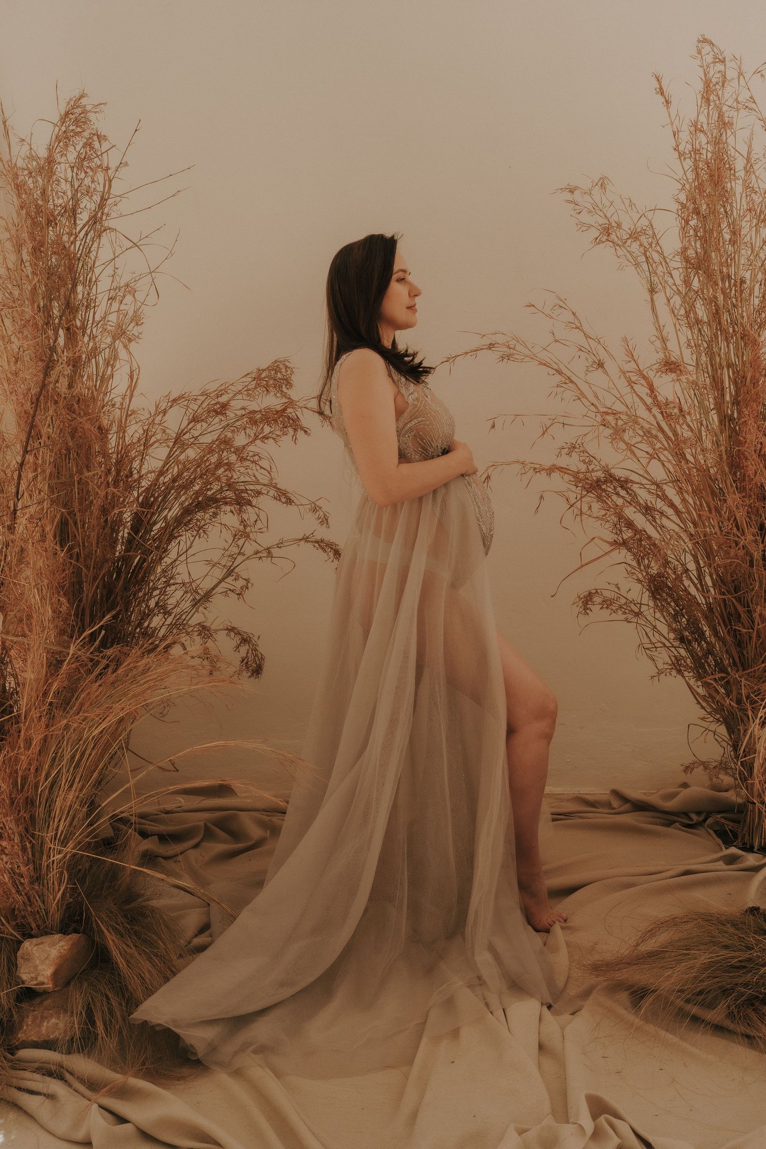 Maternity portrait with flowing sheer dress and dried pampas grass in sepia tones.