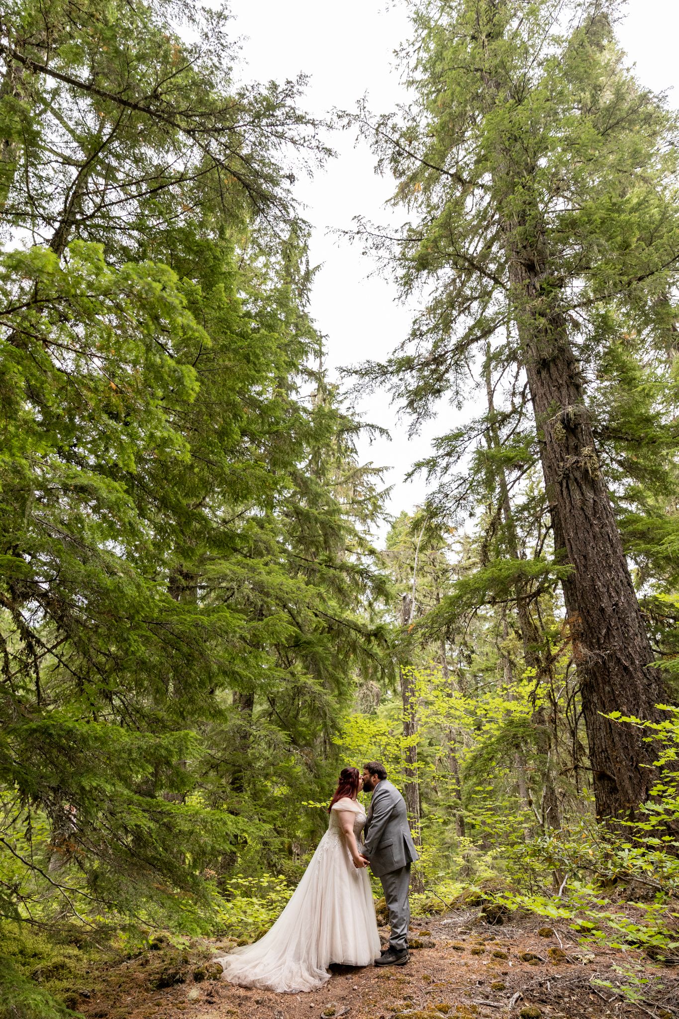 Wedding couple kissing on a forest trail surrounded by tall evergreen trees on their elopement day. PNW elopement Photographer.