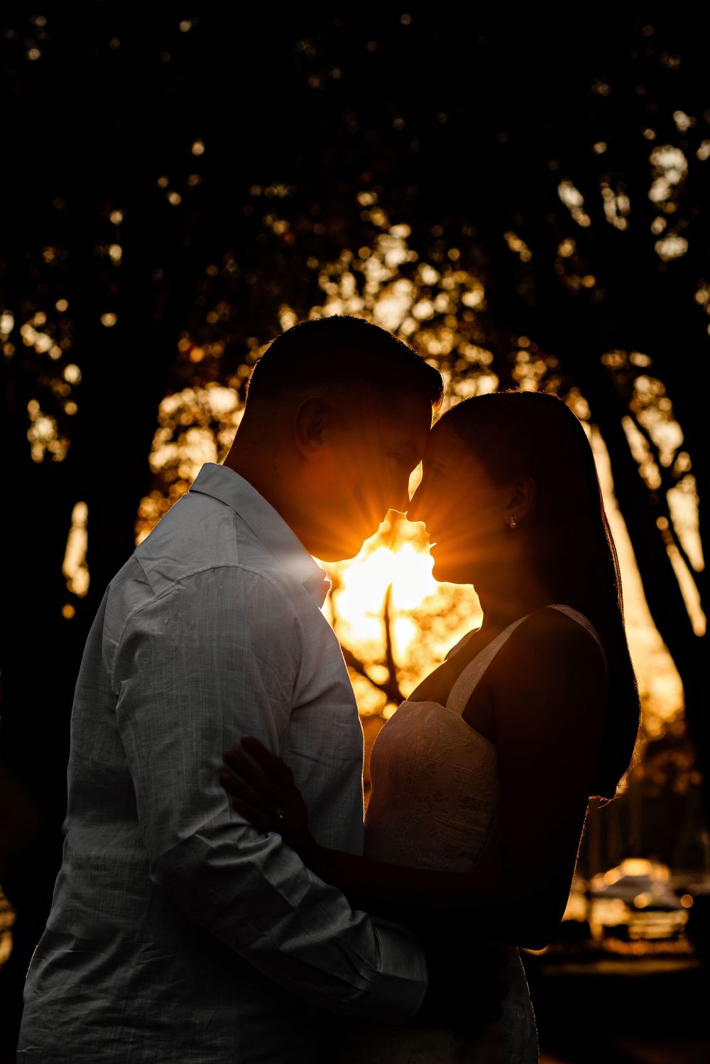 Silhouette of a romantic couple embracing at sunset with golden light streaming through trees in background.