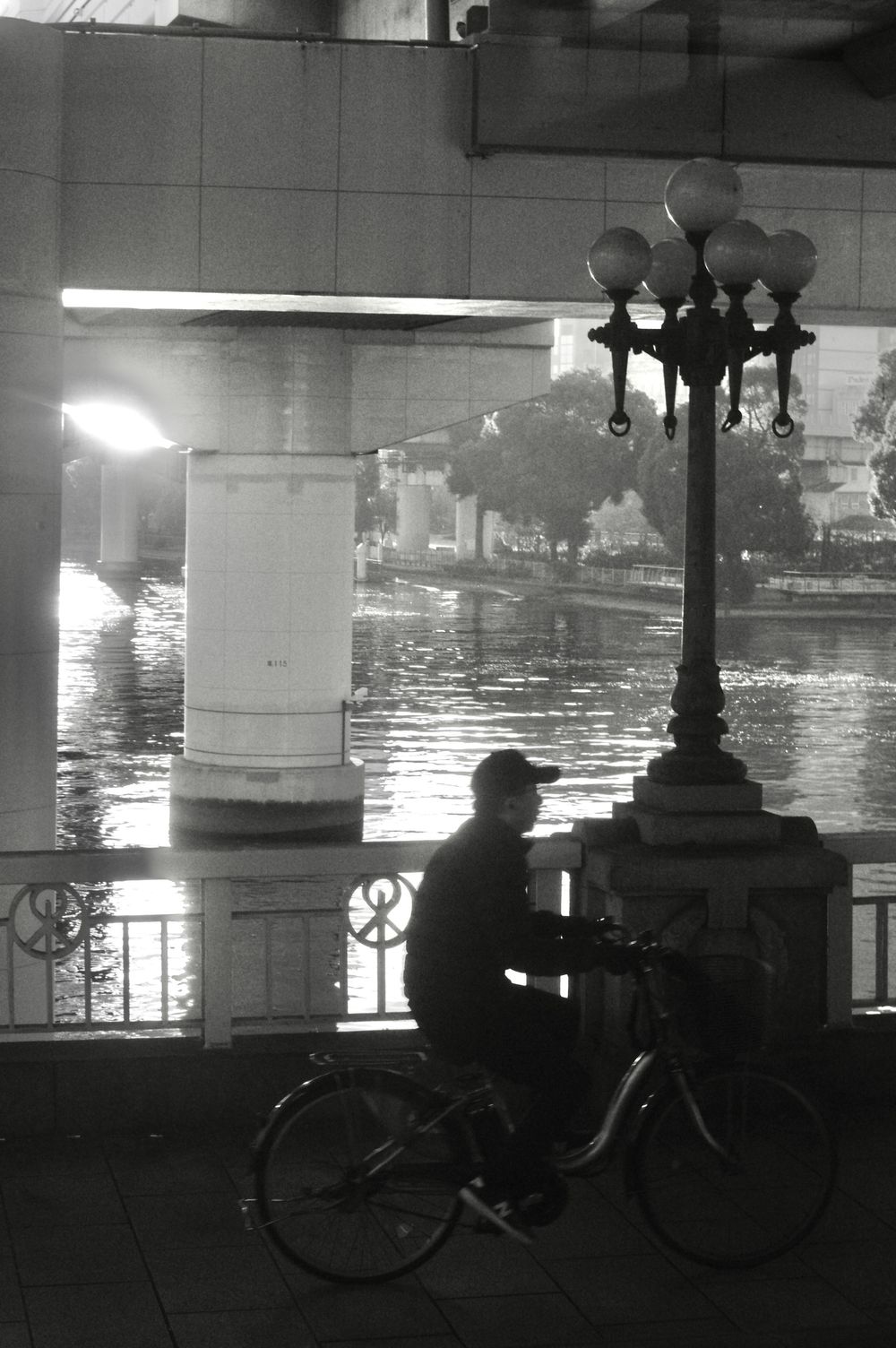 A silhouetted figure with a bicycle stands beneath ornate lamp posts along a waterfront at night.