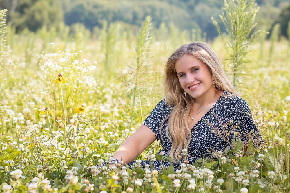Wildflower meadow with white daisies during summer season.