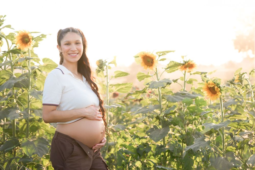 Woman showing her pregnant belly in a sunflower field during golden hour sunset.