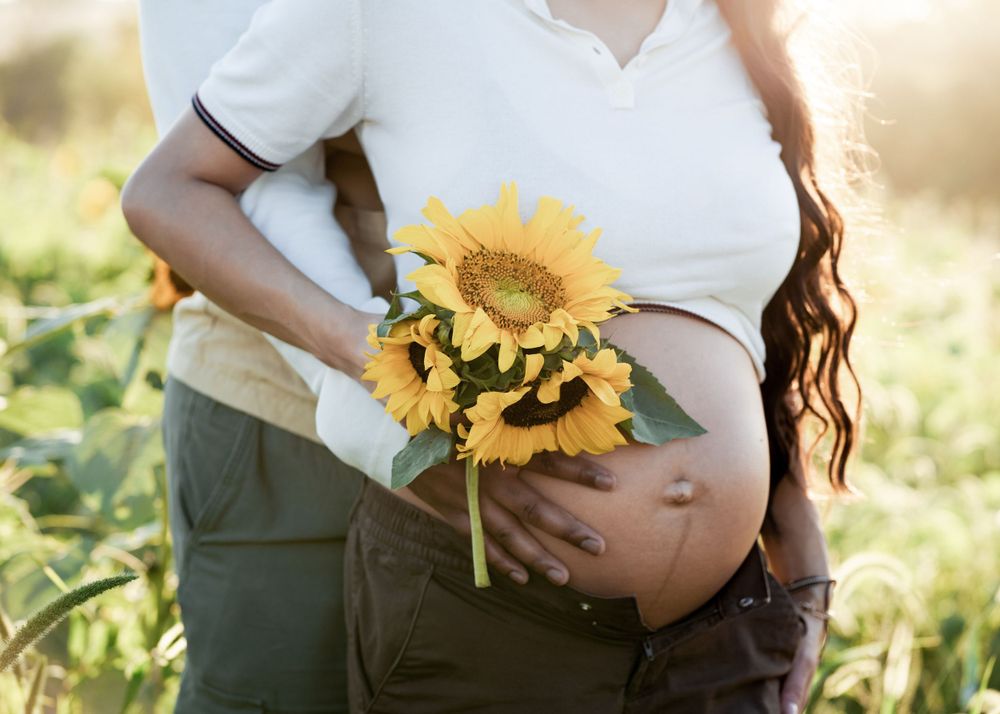 Pregnant belly being cradled while holding bright yellow sunflowers in a sunny outdoor field.