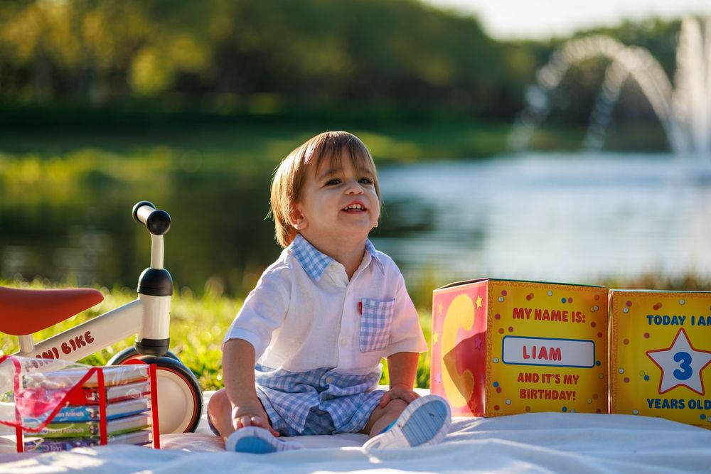 Children's toys and books are arranged on grass in a sunny outdoor setting near a lake or pond.