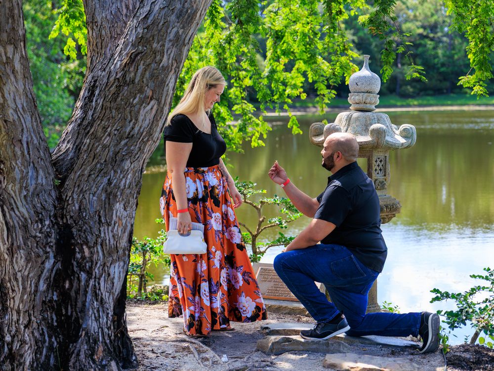 Man proposes to woman on one knee by a serene pond in a lush green park setting.