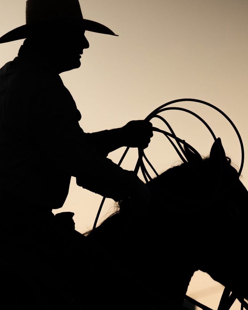 Silhouette of a cowboy with lasso against sunset sky preparing to throw rope while on horseback.