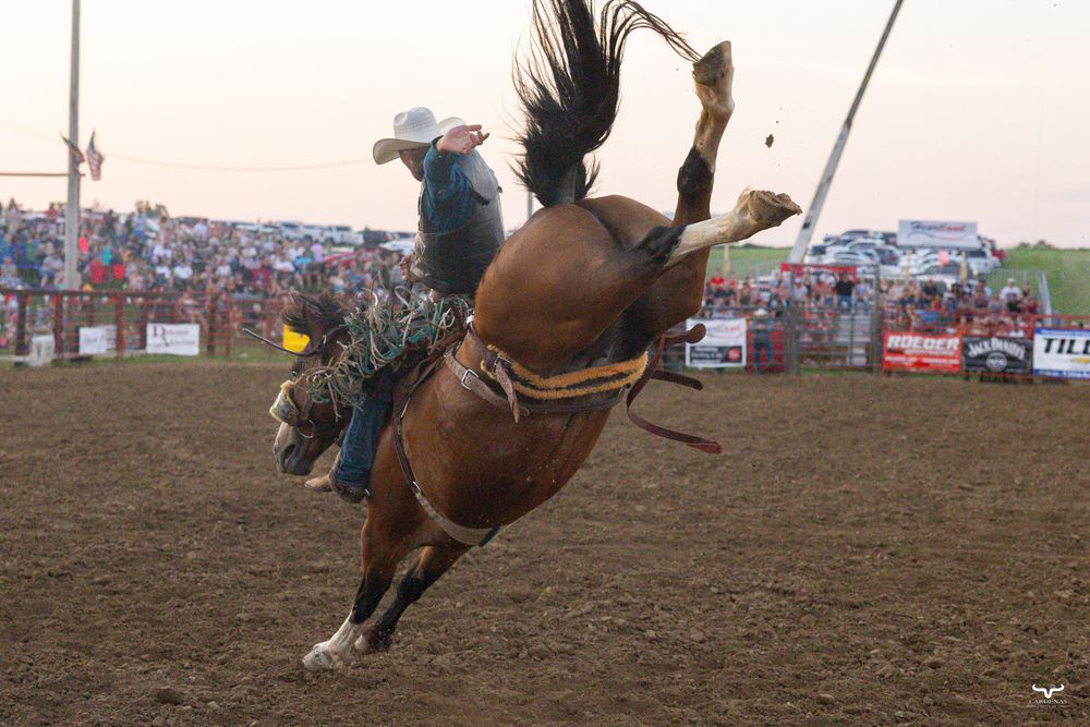 A bronc rider holds on tightly as a brown horse bucks during a rodeo event with spectators in the background.