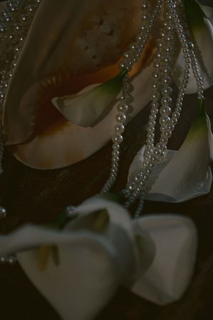 Close-up view of white orchids adorned with shimmering crystal beads in a dark, moody setting.
