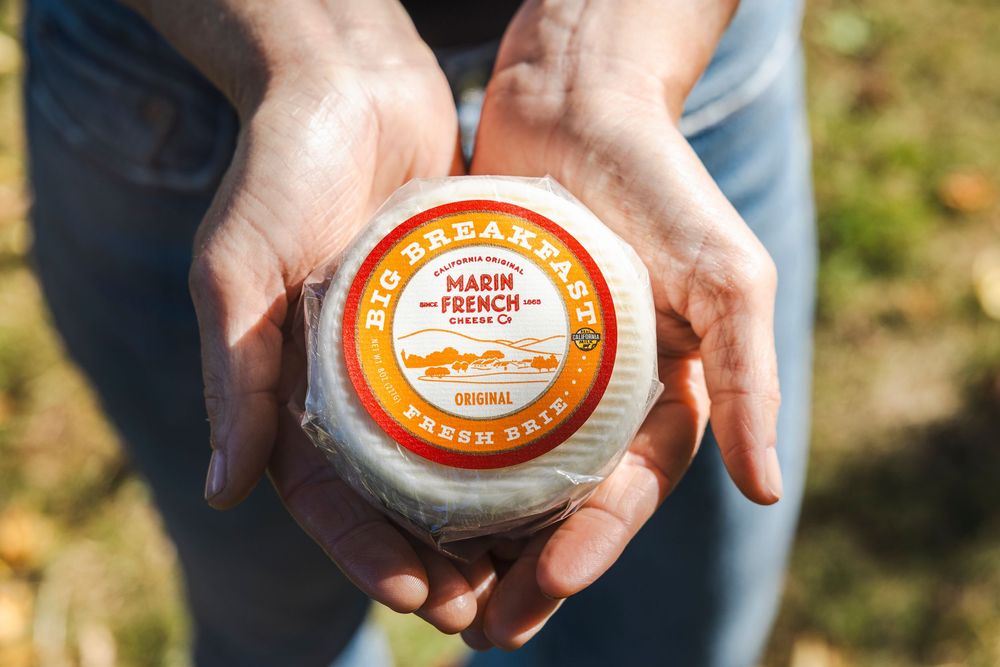 A series of hands holding French cheese wheels in an outdoor setting with natural lighting.