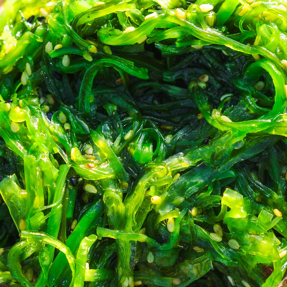 Fresh bright green seaweed salad arranged in a continuous pattern.