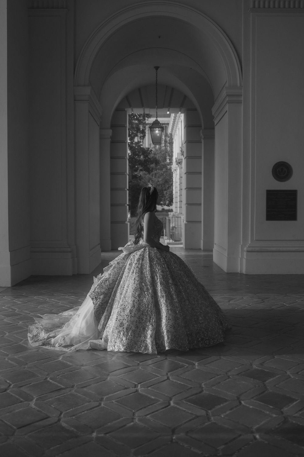 A black and white photograph of an ornate ball gown silhouetted against a classic columned archway backdrop.